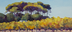 Groot Constantia Autumn Vines | 2020 | Oil on Canvas | 36 x 51 cm